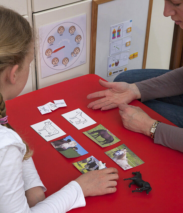 A therapist works with a child with autism doing ABA (Applied Behavioral Analysis) therapy. The photo pictures and materials are all my own (I make therapy materials for special needs kids).
