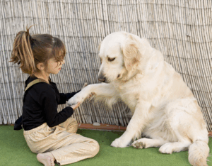 child and dog with paw out