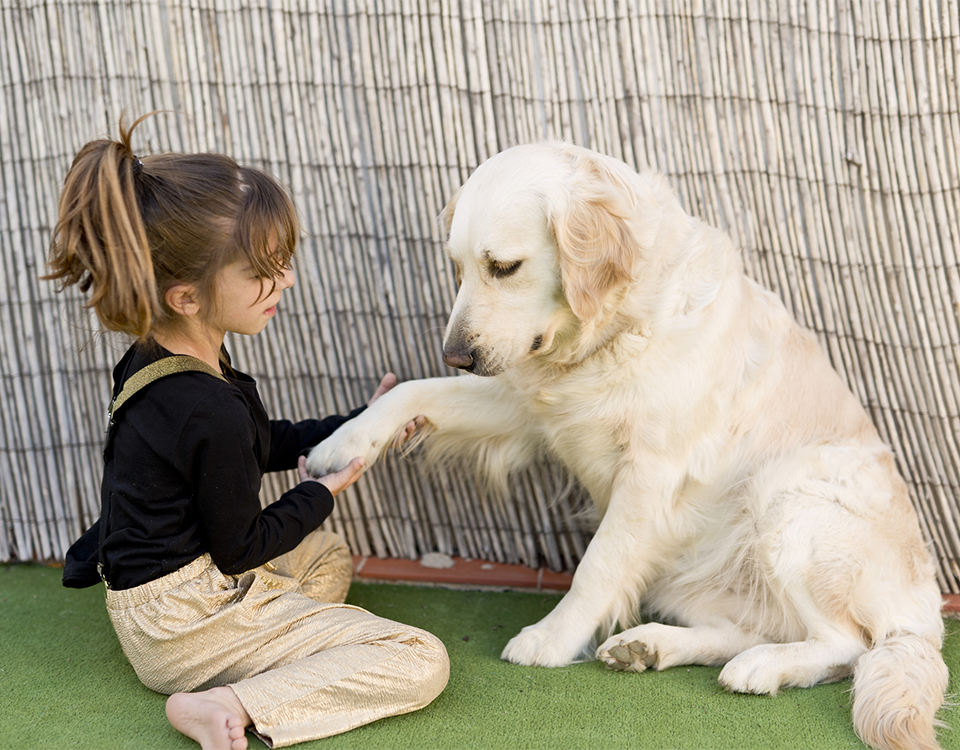 child and dog with paw out