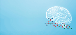 graphic of folate and the brain